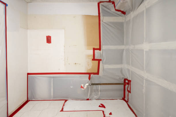 Best Commercial Mold Inspection  in Garfield, NJ
